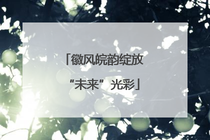 徽风皖韵绽放“未来”光彩
