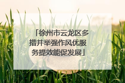 徐州市云龙区多措并举强作风优服务提效能促发展