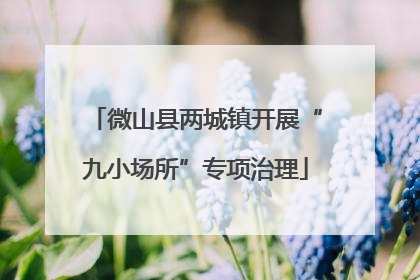 微山县两城镇开展“九小场所”专项治理