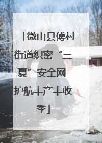 微山县傅村街道织密“三夏”安全网 护航丰产丰收季