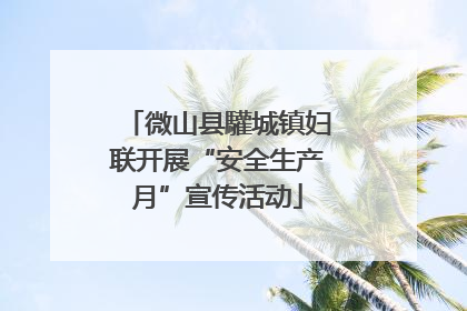 微山县驩城镇妇联开展“安全生产月”宣传活动