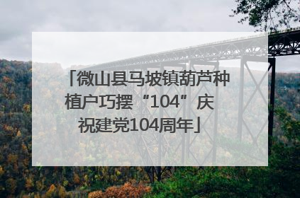 微山县马坡镇葫芦种植户巧摆“104”庆祝建党104周年