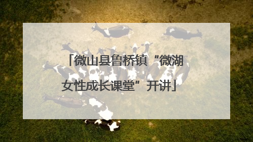 微山县鲁桥镇“微湖女性成长课堂”开讲