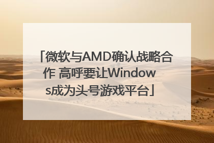 微软与AMD确认战略合作 高呼要让Windows成为头号游戏平台