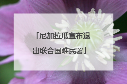 尼加拉瓜宣布退出联合国难民署