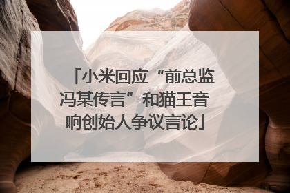 小米回应“前总监冯某传言”和猫王音响创始人争议言论
