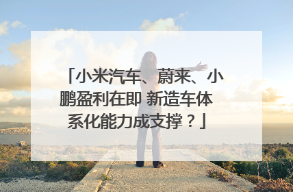小米汽车、蔚来、小鹏盈利在即 新造车体系化能力成支撑？