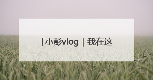 小彭vlog｜我在这场跨界的湾区论坛上，出了一道高考题……