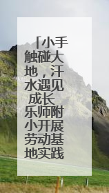小手触碰大地，汗水遇见成长 乐师附小开展劳动基地实践课程