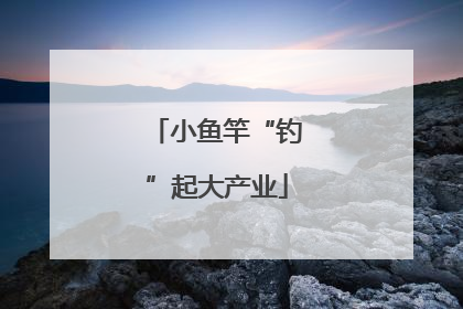 小鱼竿“钓”起大产业