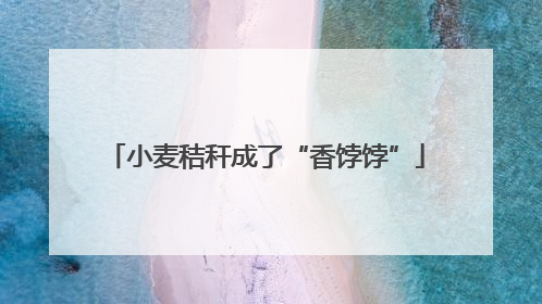 小麦秸秆成了“香饽饽”