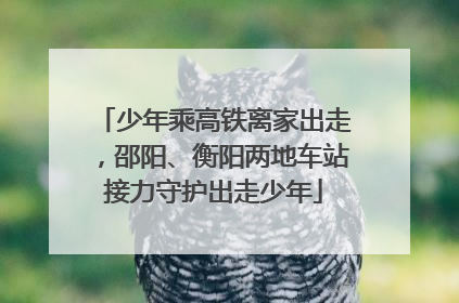 少年乘高铁离家出走，邵阳、衡阳两地车站接力守护出走少年
