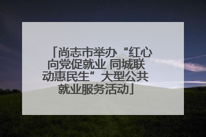尚志市举办“红心向党促就业 同城联动惠民生”大型公共就业服务活动