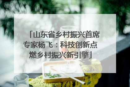 山东省乡村振兴首席专家杨飞：科技创新点燃乡村振兴新引擎