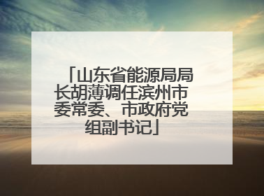 山东省能源局局长胡薄调任滨州市委常委、市政府党组副书记