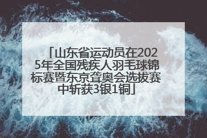 山东省运动员在2025年全国残疾人羽毛球锦标赛暨东京聋奥会选拔赛中斩获3银1铜