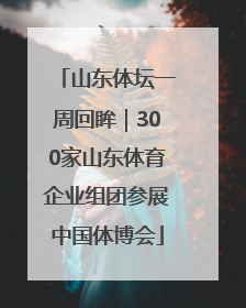 山东体坛一周回眸｜300家山东体育企业组团参展中国体博会