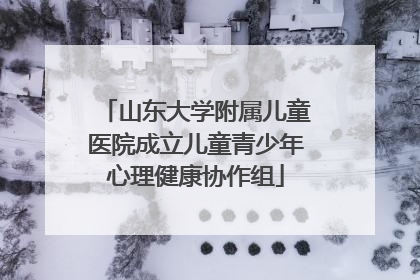 山东大学附属儿童医院成立儿童青少年心理健康协作组