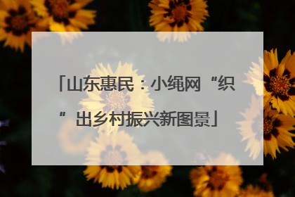 山东惠民：小绳网“织”出乡村振兴新图景