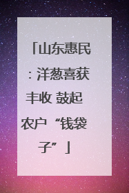 山东惠民：洋葱喜获丰收 鼓起农户“钱袋子”