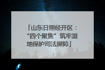 山东日照经开区：“四个聚焦”筑牢湿地保护司法屏障