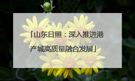 山东日照：深入推进港产城高质量融合发展