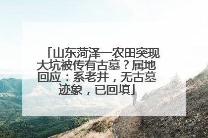 山东菏泽一农田突现大坑被传有古墓？属地回应：系老井，无古墓迹象，已回填