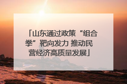 山东通过政策“组合拳”靶向发力 推动民营经济高质量发展