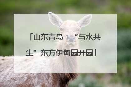 山东青岛：“与水共生”东方伊甸园开园