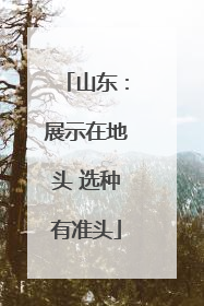 山东：展示在地头 选种有准头