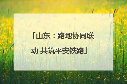 山东：路地协同联动 共筑平安铁路