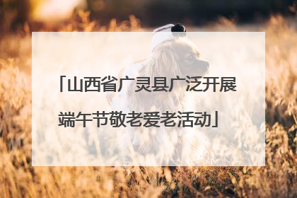 山西省广灵县广泛开展端午节敬老爱老活动