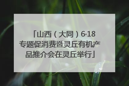 山西（大同）6·18专题促消费暨灵丘有机产品推介会在灵丘举行