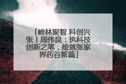 峰林聚智 科创兴张丨周伟良：执科技创新之笔，绘就张家界药谷新篇