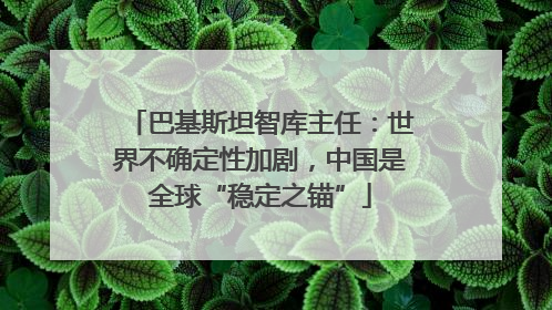 巴基斯坦智库主任：世界不确定性加剧，中国是全球“稳定之锚”