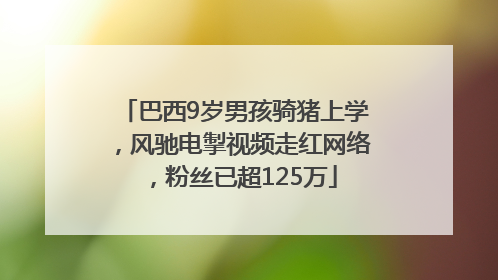 巴西9岁男孩骑猪上学，风驰电掣视频走红网络，粉丝已超125万