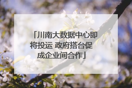 川南大数据中心即将投运 政府搭台促成企业间合作