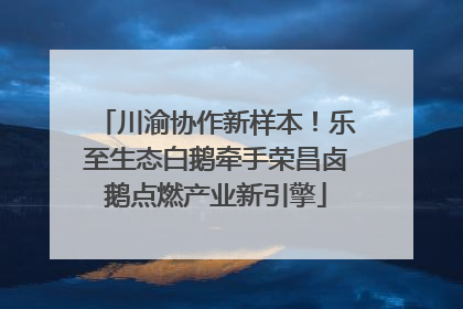 川渝协作新样本！乐至生态白鹅牵手荣昌卤鹅点燃产业新引擎