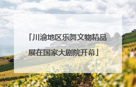 川渝地区乐舞文物精品展在国家大剧院开幕