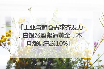 工业与避险需求齐发力，白银涨势紧逼黄金，本月涨幅已逾10%