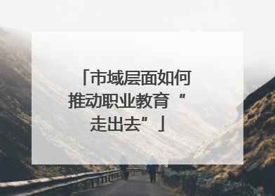 市域层面如何推动职业教育“走出去”