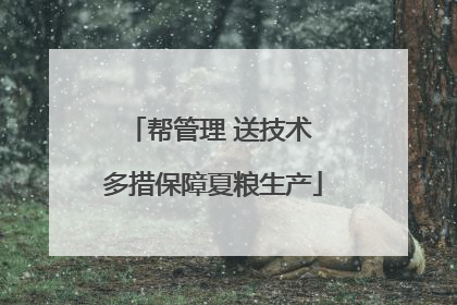 帮管理 送技术 多措保障夏粮生产