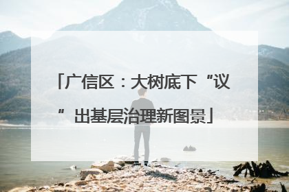 广信区：大树底下“议”出基层治理新图景