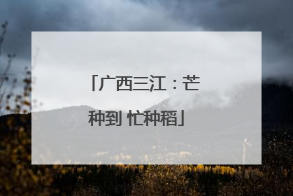 广西三江：芒种到 忙种稻