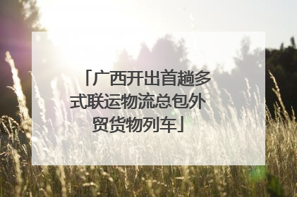广西开出首趟多式联运物流总包外贸货物列车