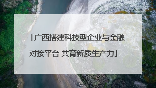 广西搭建科技型企业与金融对接平台 共育新质生产力