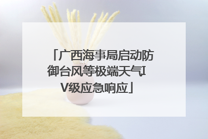 广西海事局启动防御台风等极端天气IV级应急响应