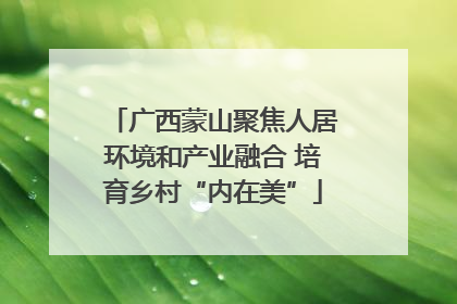 广西蒙山聚焦人居环境和产业融合 培育乡村“内在美”