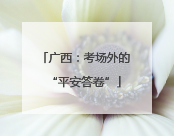 广西：考场外的“平安答卷”