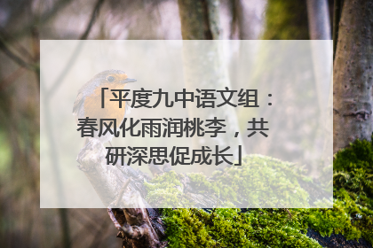 平度九中语文组：春风化雨润桃李，共研深思促成长